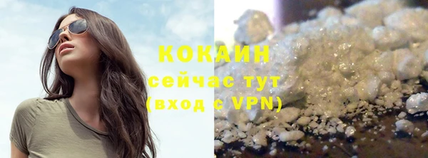 шишки Покров