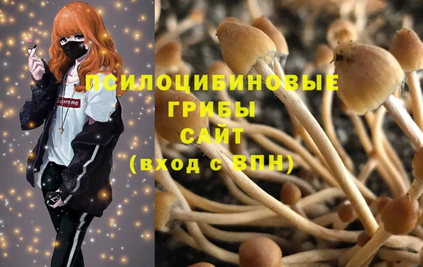 синтетический гашиш Алексин