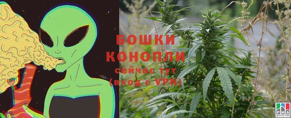 молекула духа Покровск