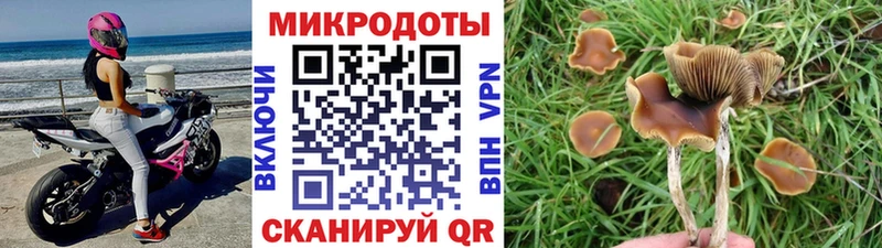 Галлюциногенные грибы Cubensis  магазин продажи   Новосиль 