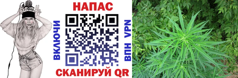 Марихуана марихуана  Новосиль 